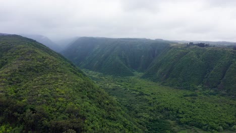 polulu valley in hawaii showcases towering green slopes encircling a wide rainforest floor, where layers of lush vegetation stretch toward distant misty ridges under overcast skies.