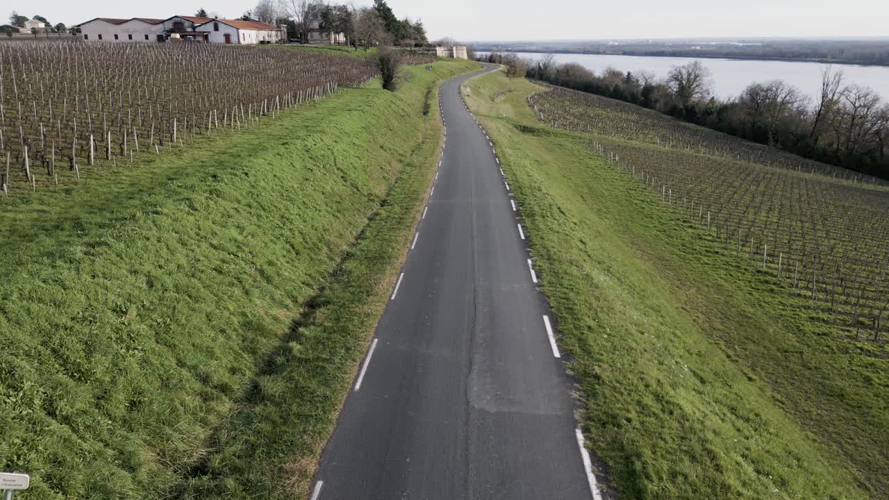 Strada serpeggiante attraverso i vigneti di Bayon-sur-Gironde, Francia. Vista aerea.