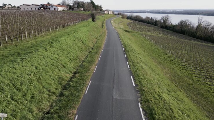 Strada serpeggiante attraverso i vigneti di Bayon-sur-Gironde, Francia. Vista aerea.
