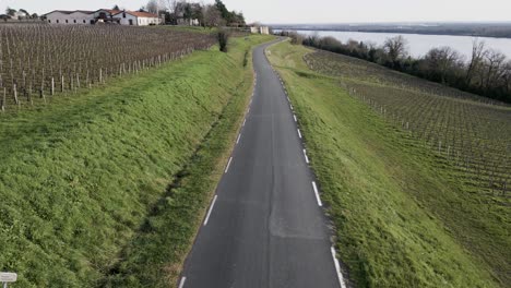 schlange straße durch die weinberge von bayon-sur-gironde, frankreich.