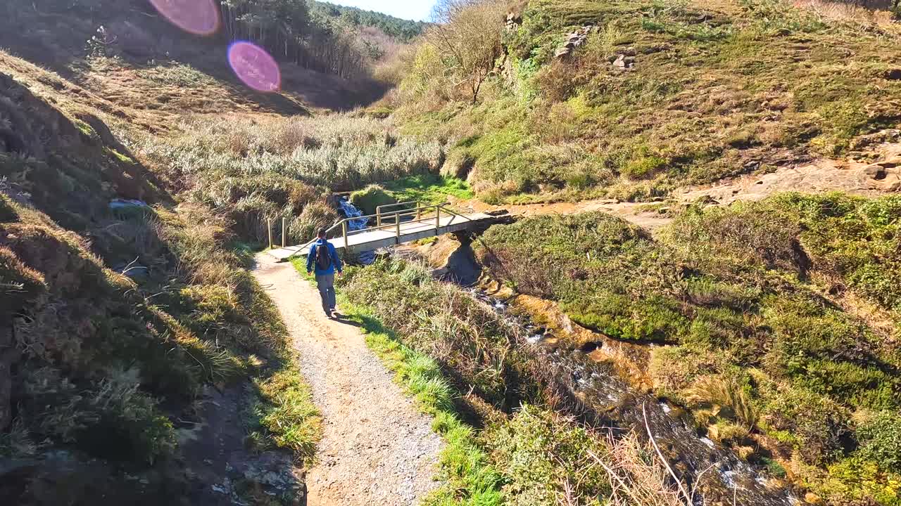Scenic Coastal Landscape with Stream and Vegetation