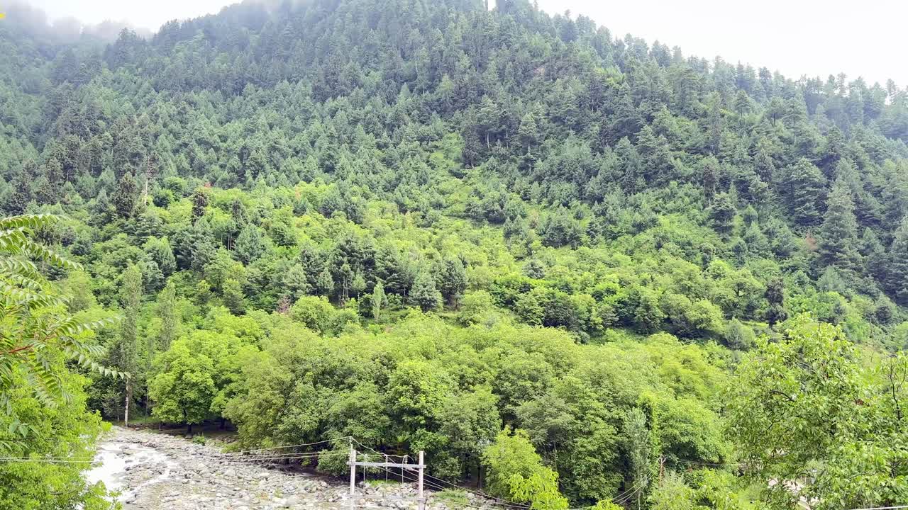 Fresh Waters of River Sindh, Boating Bliss, Forest Trails, Lush Meadows and Scenic Himalayan Landscapes