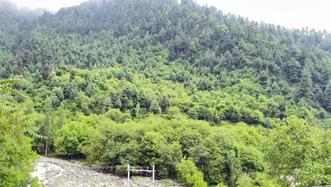 fresh waters of river sindh, boating bliss, forest trails, lush meadows and scenic himalayan landscapes
