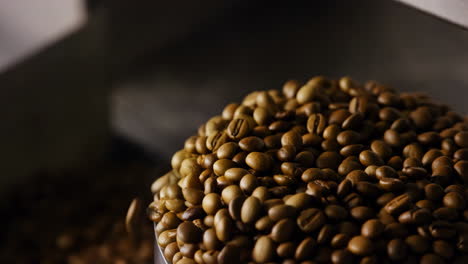 close-up of unroasted coffee beans