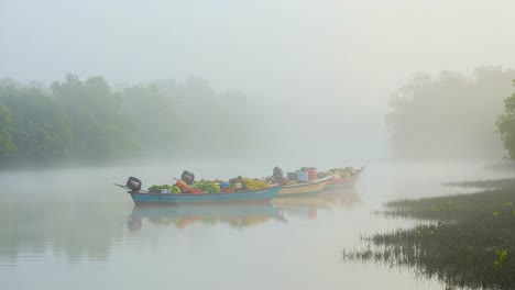 a serene morning on the misty river: colorful fishing boats laden with fresh produce glide through the foggy waters surrounded by lush greenery