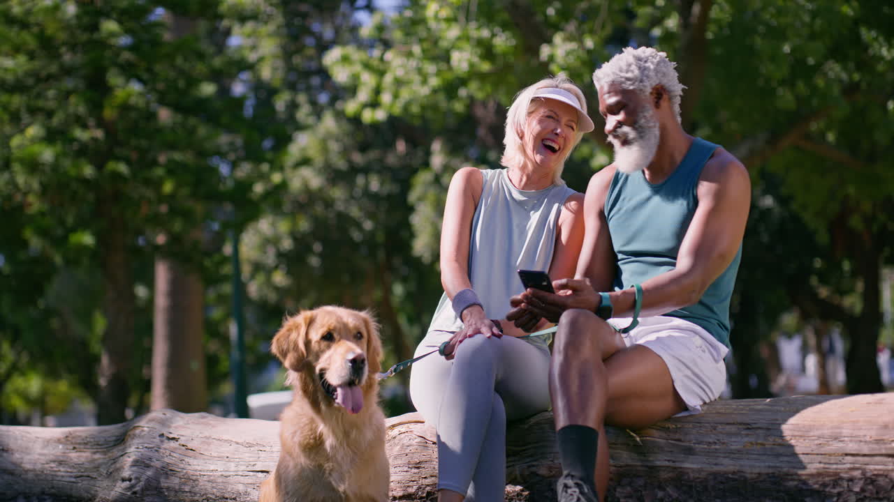 Older Couple with Dog Enjoying a Day in the Park