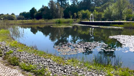 tranquil pond with lily pads and a fountain in a serene park on a sunny day - wide shot capturing the pond and its surroundings