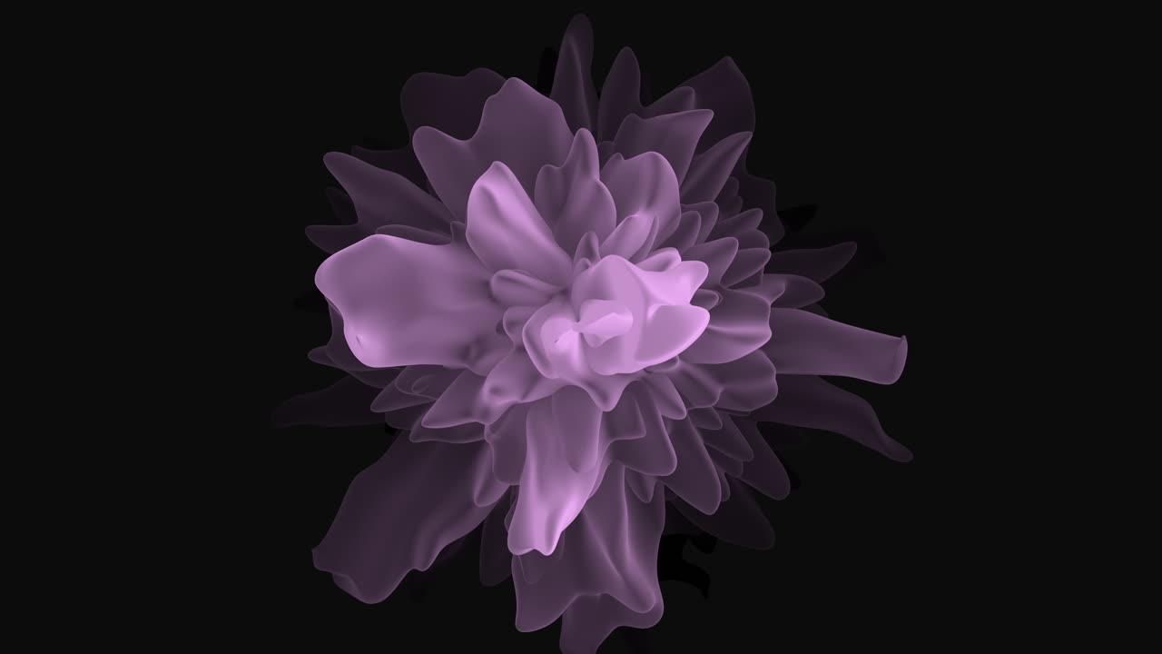 Et nærbillede af en fængslende lilla blomst i fuldt flor, der viser dens delikate kronblade i levende nuancer.