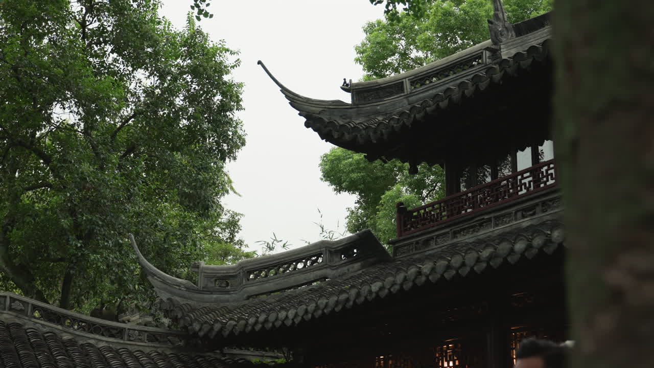 Antiguo tejado de pagoda enmarcado por árboles, aleros curvos ornamentados y un pabellón de madera oscura visibles contra un cielo nublado, troncos cubiertos de musgo y denso follaje creando una atmósfera pacífica y contemplativa, ideal.