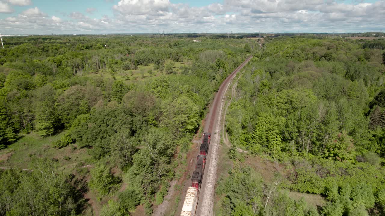 el tren de carga diésel avanza a través del exuberante paisaje forestal verde con cielos soleados y vibrantes