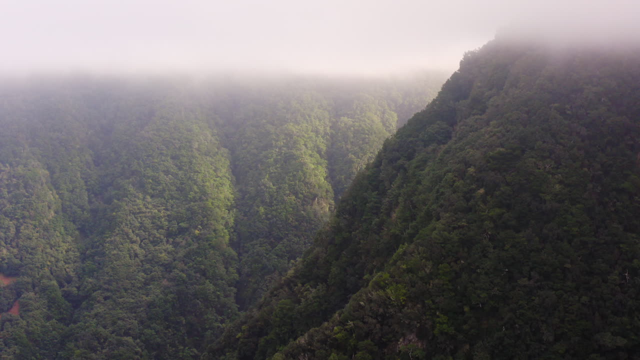 antena cinematográfica de paisajes verdes cubiertos por nubes en la cima de las montañas