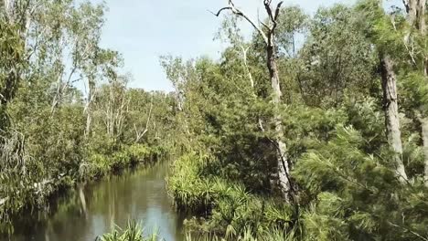 Fliegen-Rückwärts-über-Den-Fluss-In-Darwin-Im-Grünen