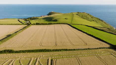 coastal farmland harvest