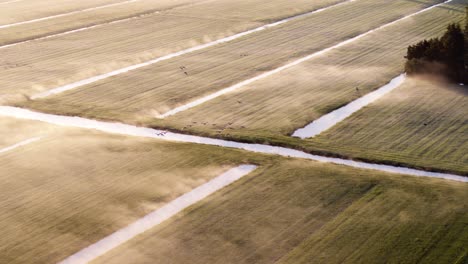 Luftüberflug-Nebliger-Bauernfelder,-Die-Von-Vielen-Kleinen-Kanälen-Durchzogen-Sind,-Die-Von-Der-Frühen-Morgensonne-Beleuchtet-Werden,-Während-Vogelschwärme-Darüberfliegen