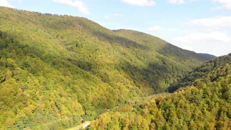 autumn foliage in mountain valley