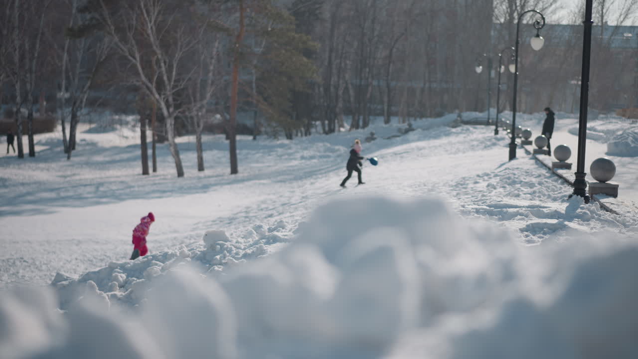 Children in colorful winter gear playing on snow field while parents supervise nearby, trees surrounding park hillside, bright sun and soft frost creating cheerful family outdoor scene with sleds