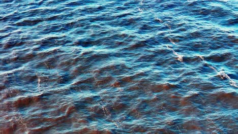 close view of vibrant blue sea surface rippling with waves and shimmering highlights, forming striking abstract textures and motion under bright daylight