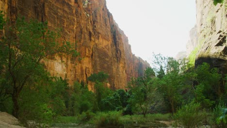 Pan-down-shot-showcasing-the-rocky-mountains-then-panning-down-a-very-clear-stream-of-water-flowing-between-the-trees-and-other-large-rock-formations