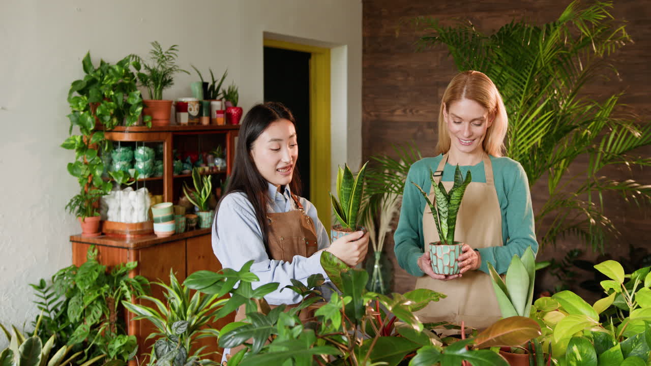 식물 가게 에 있는 두 여인 이 실내 식물 을 보고 있다