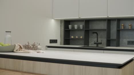modern grey kitchen interior