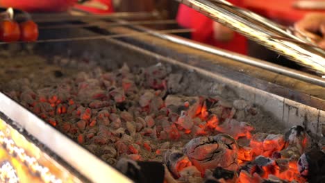 el kebab de pavo adana es una barbacoa de 4k.