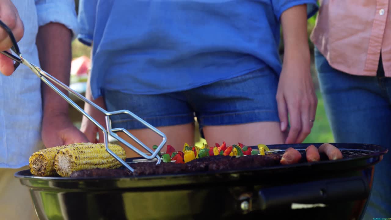 Family preparing barbecue in the park 4k