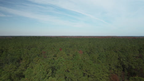 Vasto-Paisaje-Forestal-Ancho-Seguimiento-Aéreo-Hacia-Atrás