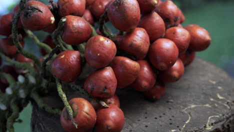 Nahaufnahme-Von-Chonta-Früchten-Aus-Der-Pfirsichpalme-In-Ecuador-In-Prores-4k