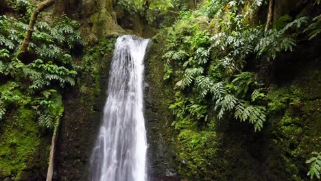 drone flying towards small cascade in middle of lush and humid jungle