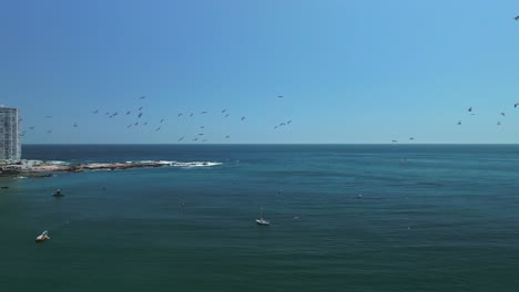 aerial establishing shot of a small yacht off the coast of iquique with birds flying past