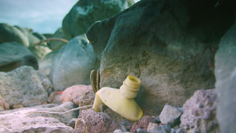 Eine-Alte-Plastikflasche-Liegt-Eingeklemmt-Zwischen-Einem-Felsen-Und-Einer-Harten-Stelle