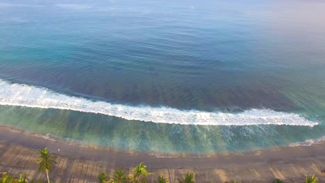 Flying-Over-Ocean-to-Reveal-Palm-Trees