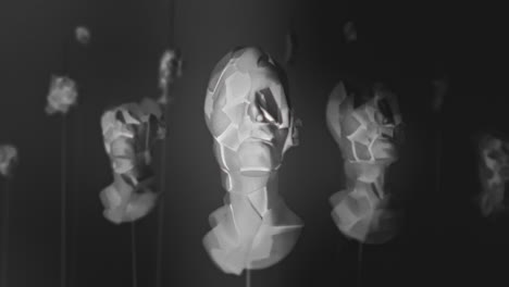 broken mannequin head shells in xray
