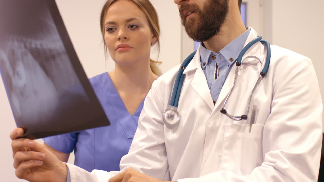 o veterinário está a falar com o seu assistente sobre um rádio de raios-x.