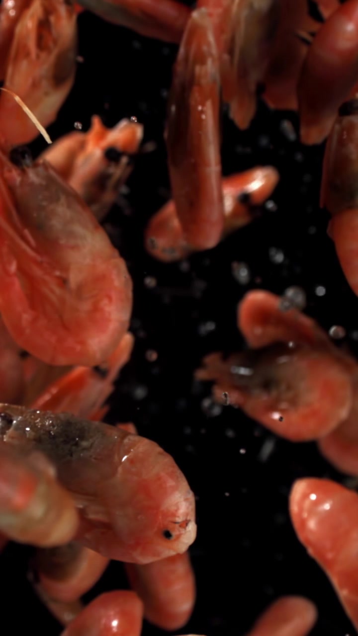Fresh Cooked Shrimp Falling with Water Droplets on Black Background