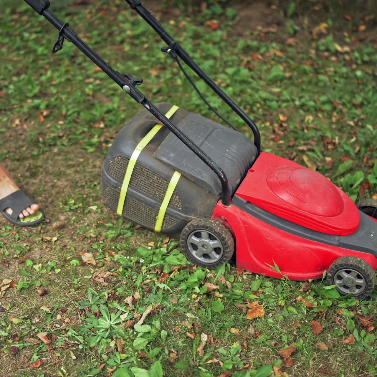 Electric lawn machine during work. Worker is cutting grass in the backyard in summer. Gardening activity.