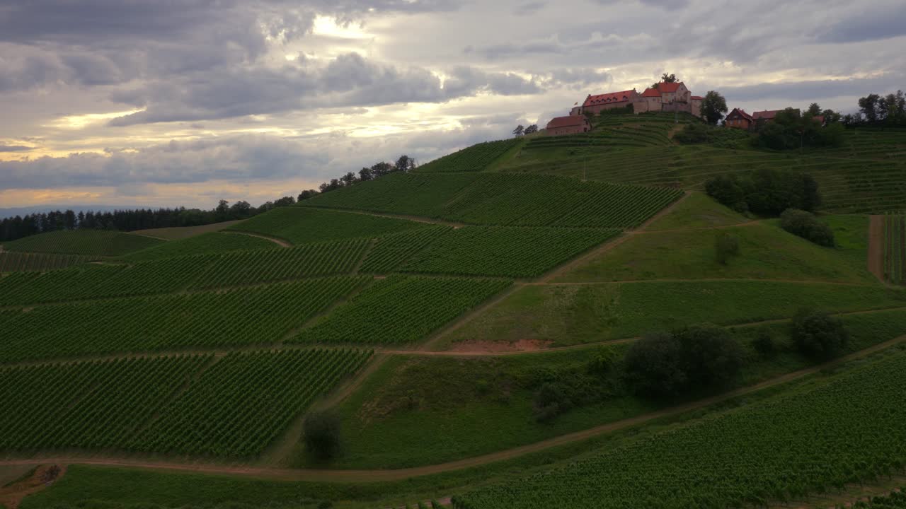 Vista panoramica di vigneti sotto Schloss Staufenberg.
