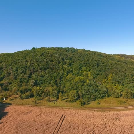 crop fields seen from the air