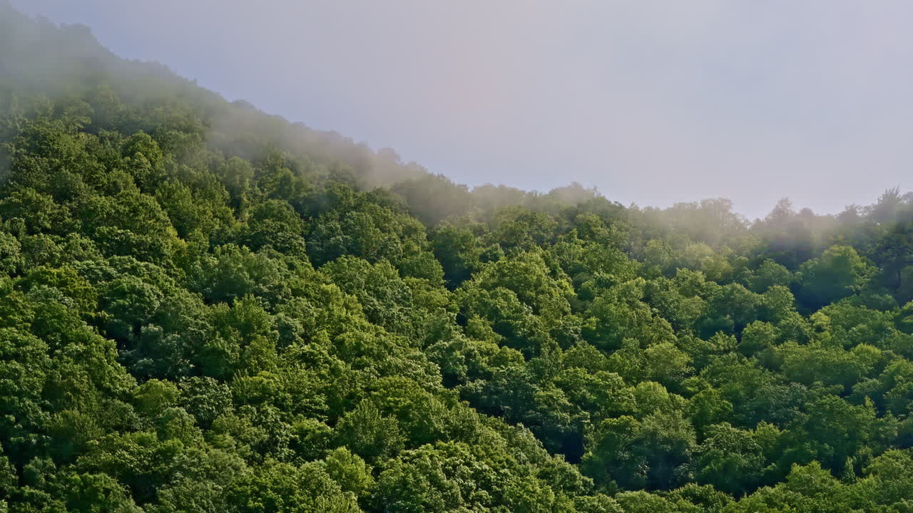 Slow cinematic approach into fog blanketing the Smokies