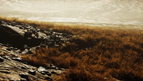 Stones-covered-with-grass-and-moss-under-bright-sky-of-Nepal