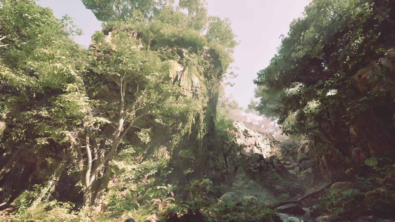 Un río que atraviesa un frondoso bosque verde