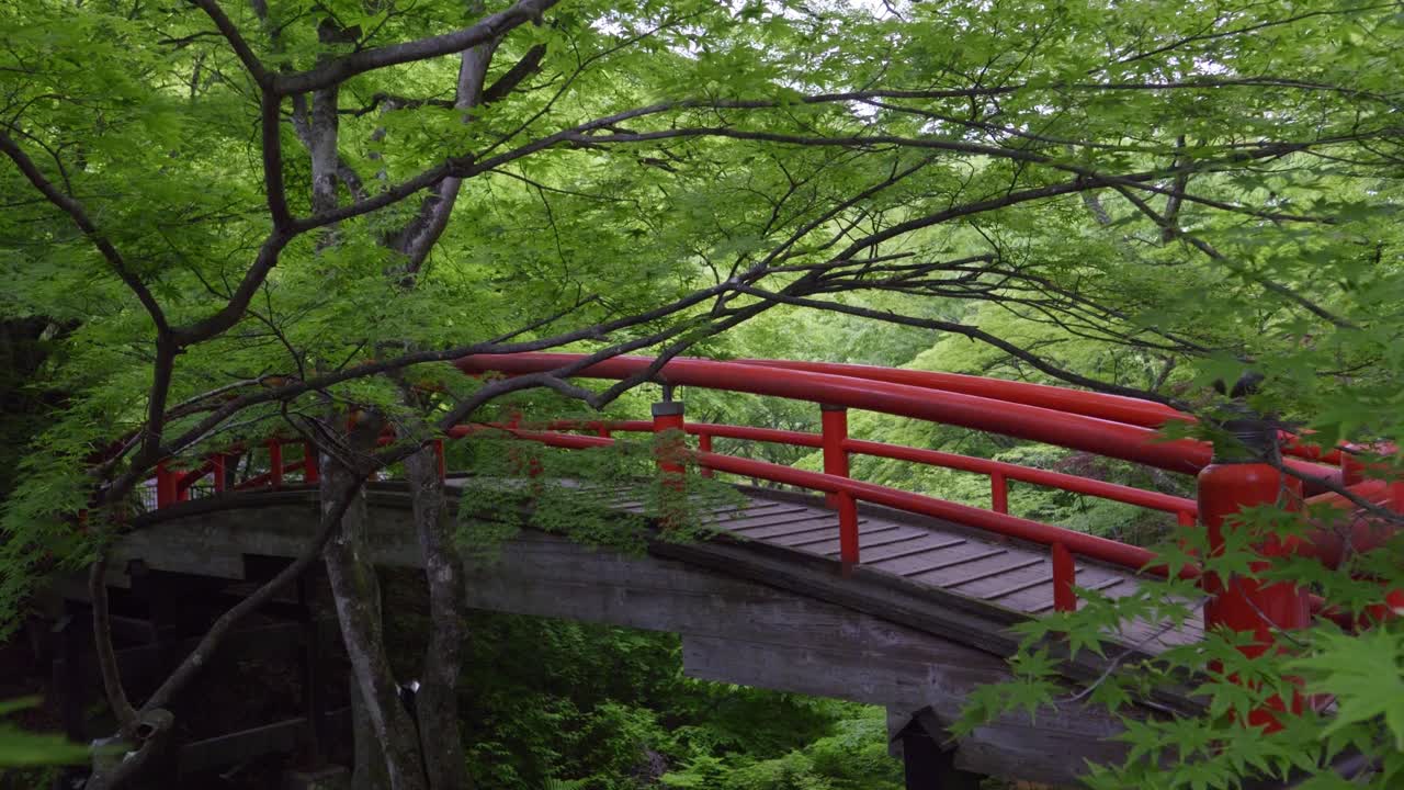 Stunning slow motion cinematic reveal over Japanese red wood bridge deep in forest