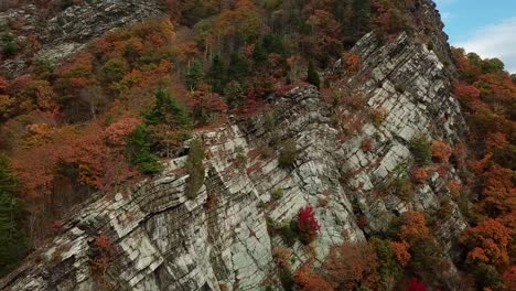 Tiro-De-Drone-De-Otoño-En-La-Ladera-De-La-Montaña