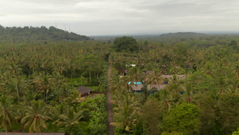 Casas-Tradicionales-Rodeadas-De-Palmeras-En-Bali.-Amplia-Vista-Aérea-De-La-Carretera-A-Través-De-La-Selva-Tropical-Con-Pequeñas-Casas-Rurales-Escondidas-Entre-Los-árboles