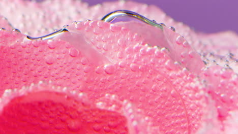 close-up of a pink rose with water drops