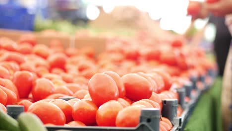 tomates frescos en un mercado