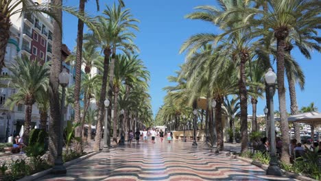 alicante’s explanada, a beloved seaside promenade, showcases a wavy mosaic of 6.5 million tricolor marble tiles, beautifully framed by graceful palm trees.
