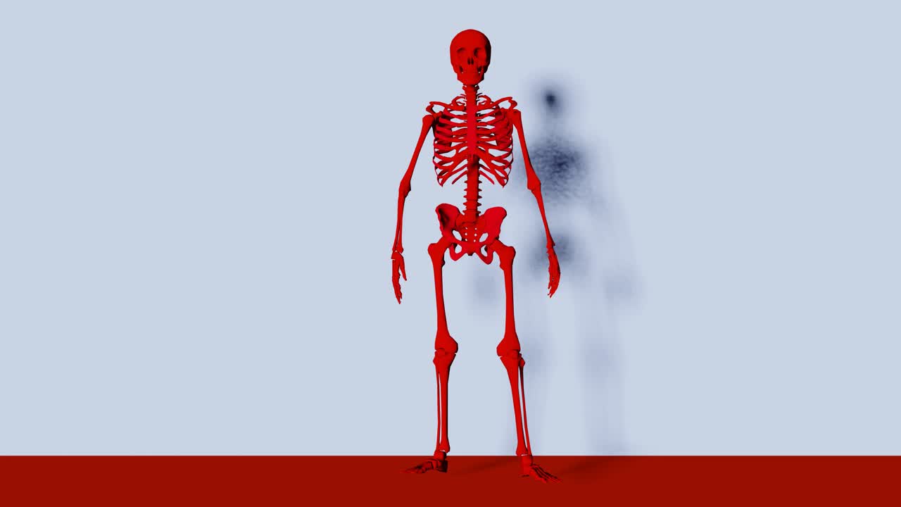 골격 트레싱 - 휴식