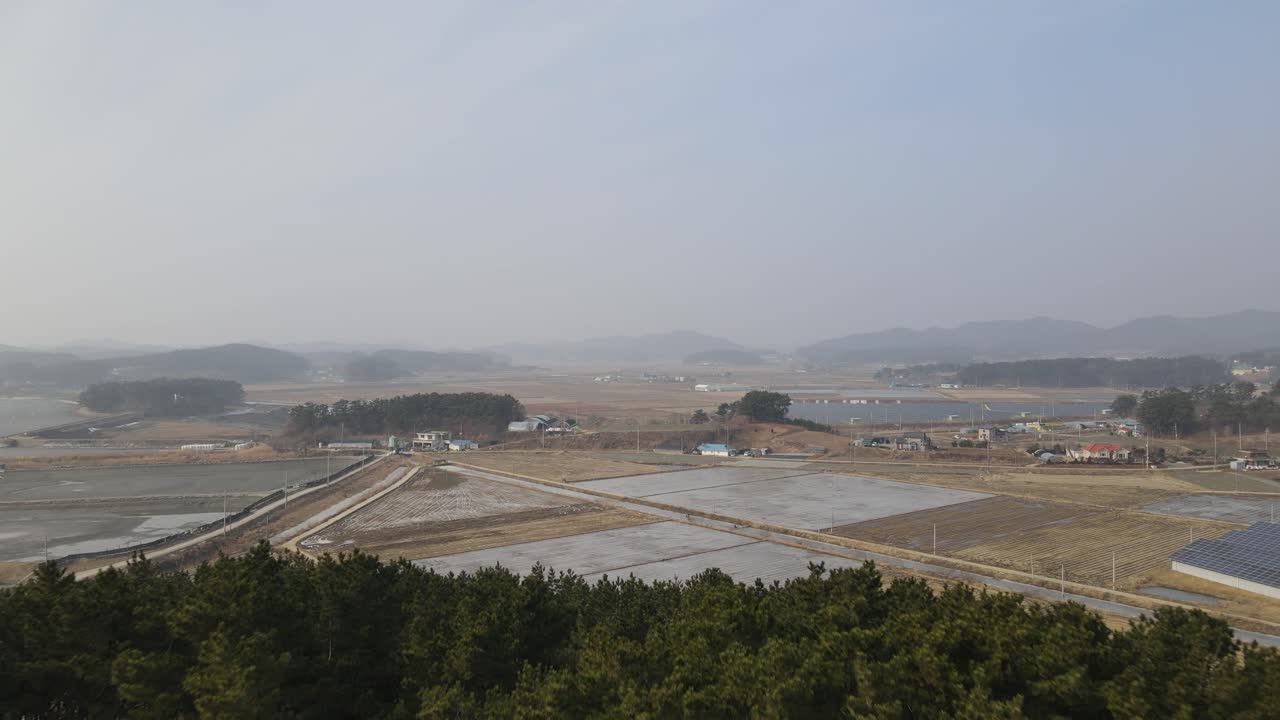 대기 오염과 스모그로 들판과 숲 위로 날아가는 드론