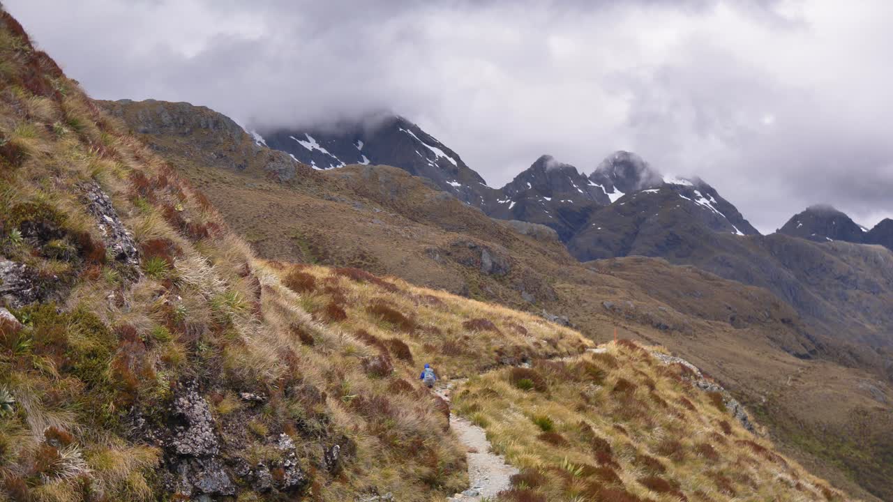 pan, excursionista cruza el paso alpino expuesto, routeburn track nueva zelanda